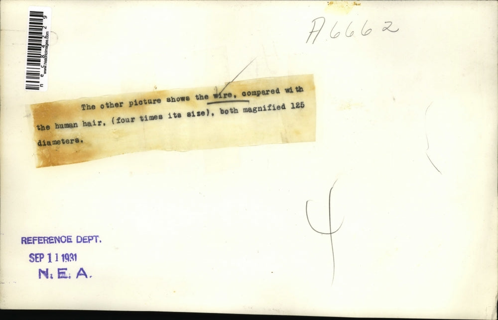 1931 Press Photo Wire compared to hair in a magnified view