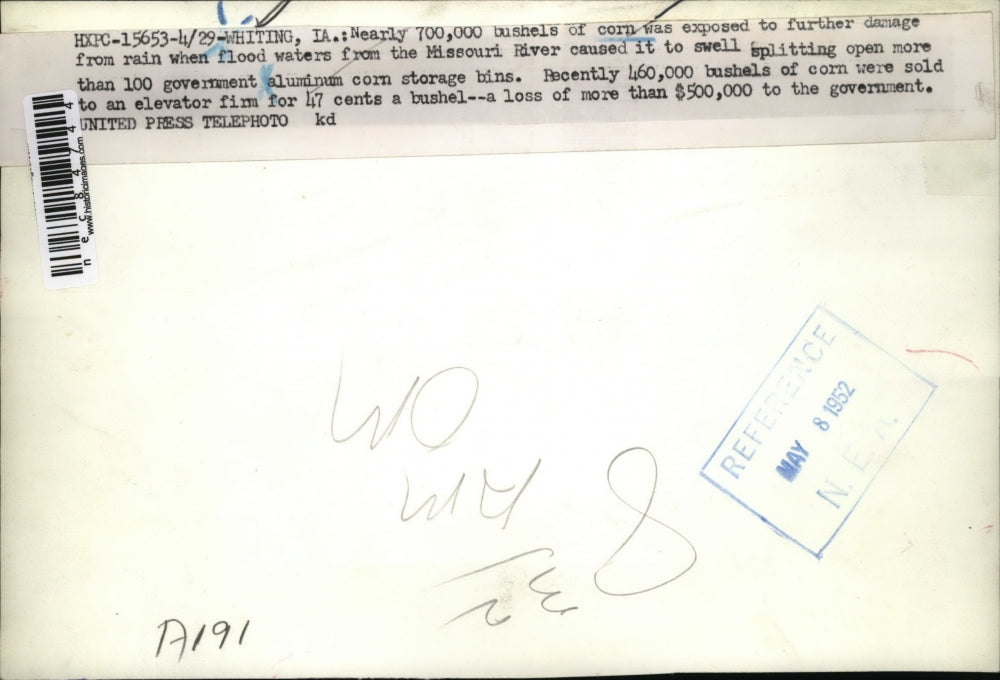 1952 Press Photo Nearly 700,000 bushels of corn exposed to further damage