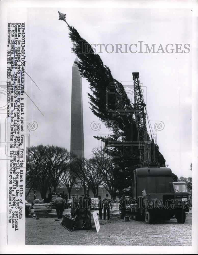 1955 Press Photo installation of National Christmas Tree for 1955, Washington DC