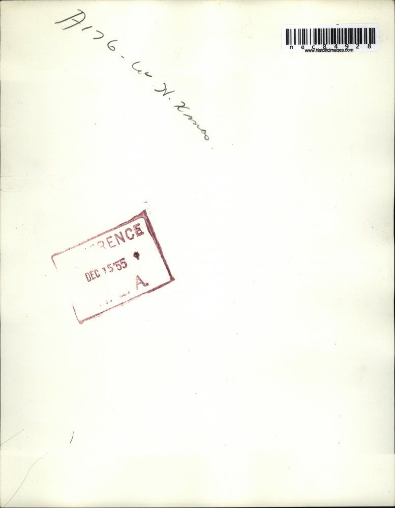 1955 Press Photo installation of National Christmas Tree for 1955, Washington DC