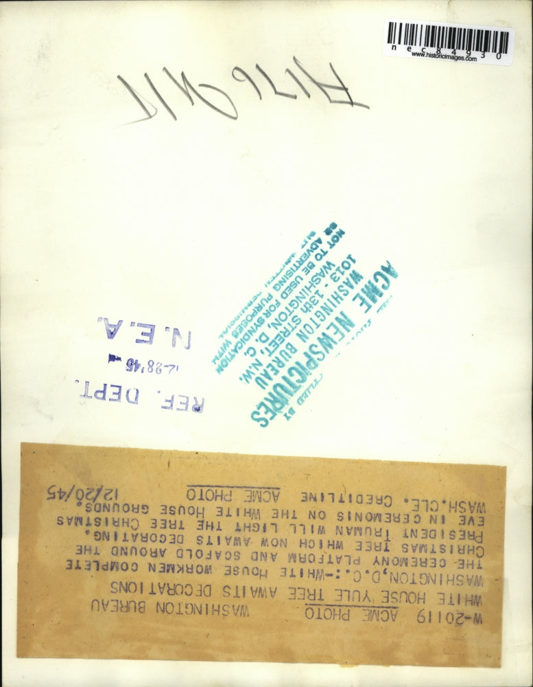 1945 Press Photo White House Christmas Tree being set up for festivities