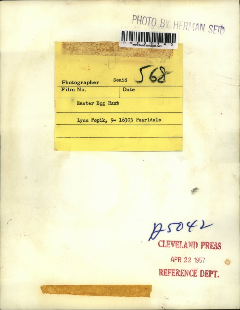 1957 Press Photo Lynn Popik age 9 with a fruit tree in Cleveland