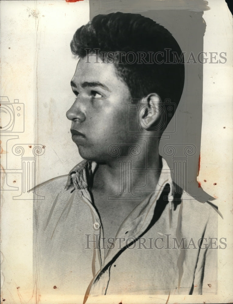 1933 Press Photo Nashville, TN Balfe MacDonald question in mom's death in Mich