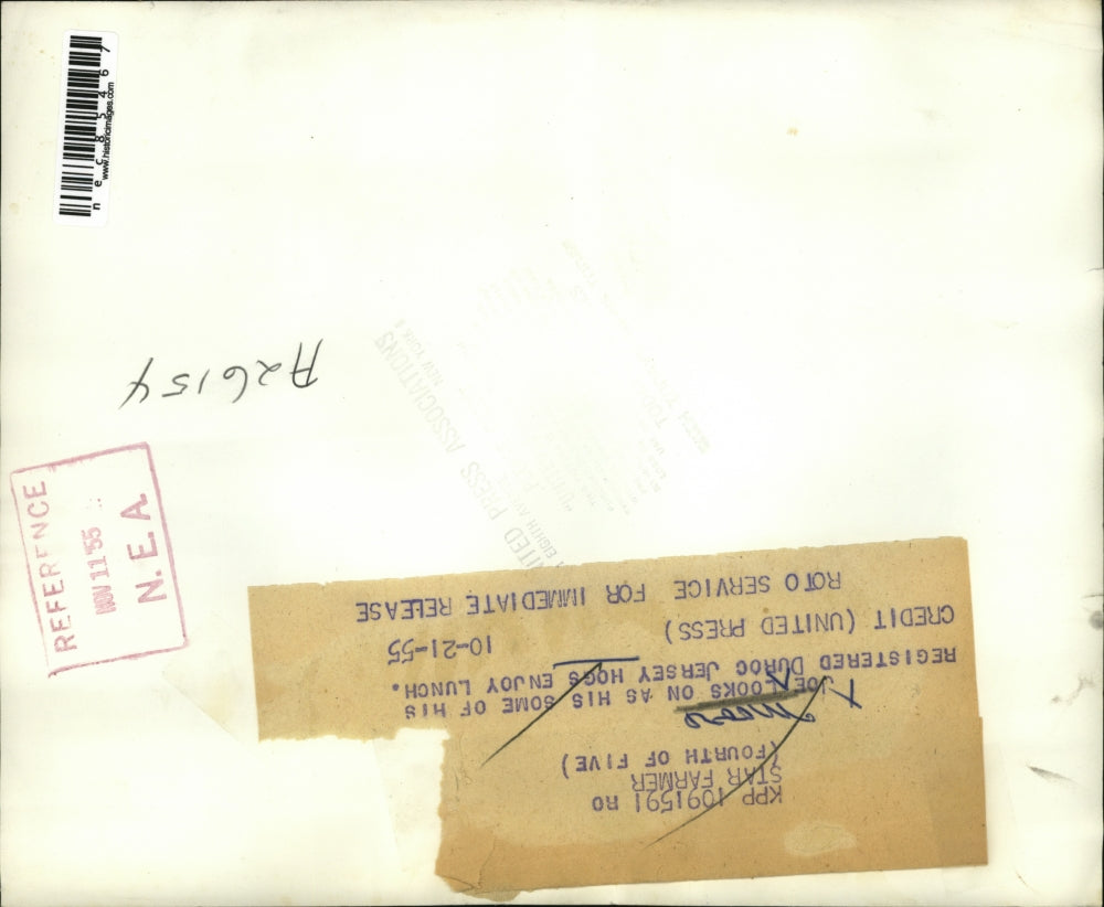 1955 Press Photo Joe Moore feeds his Duroc Jersey Hogs