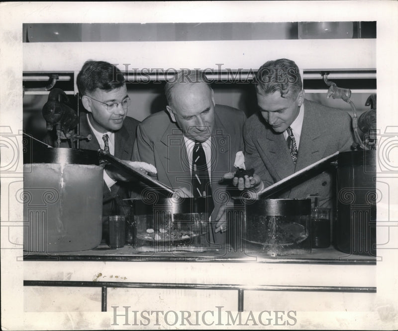 Load image into Gallery viewer, 1944 Press Photo Akron Ohio General Tire and Rubber Company

