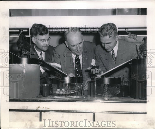 1944 Press Photo Akron Ohio General Tire and Rubber Company