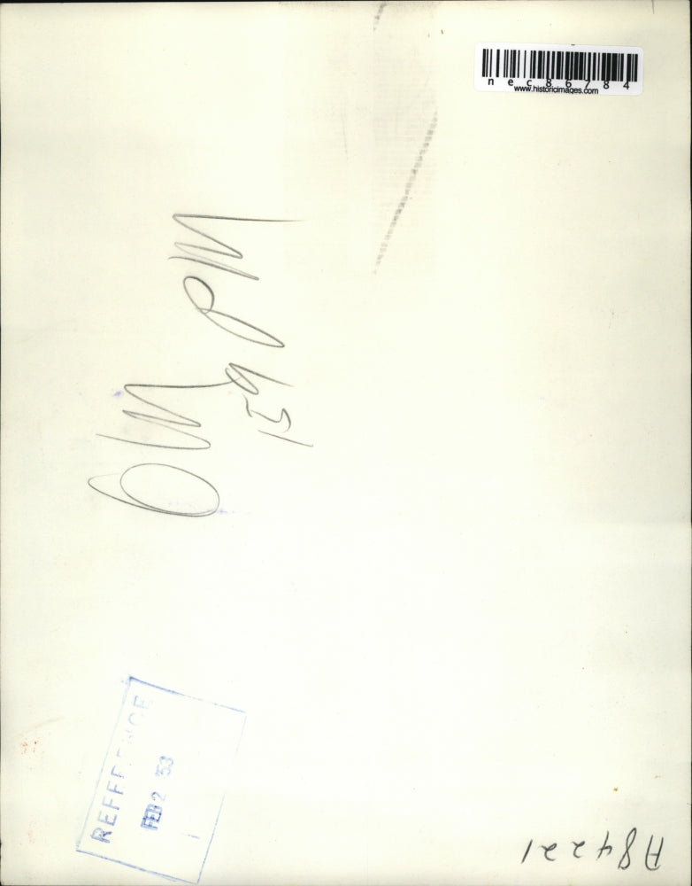 Press Photo St Louis Elmer Vail jumps out 6th flloor window to Firemens net