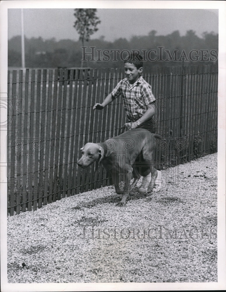 1957 Press Photo A boy with his dog at Ohio Turnpike