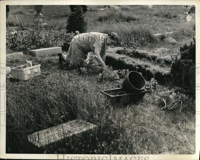Load image into Gallery viewer, 1941 Press Photo Mrs Frank Erwin at work gardening
