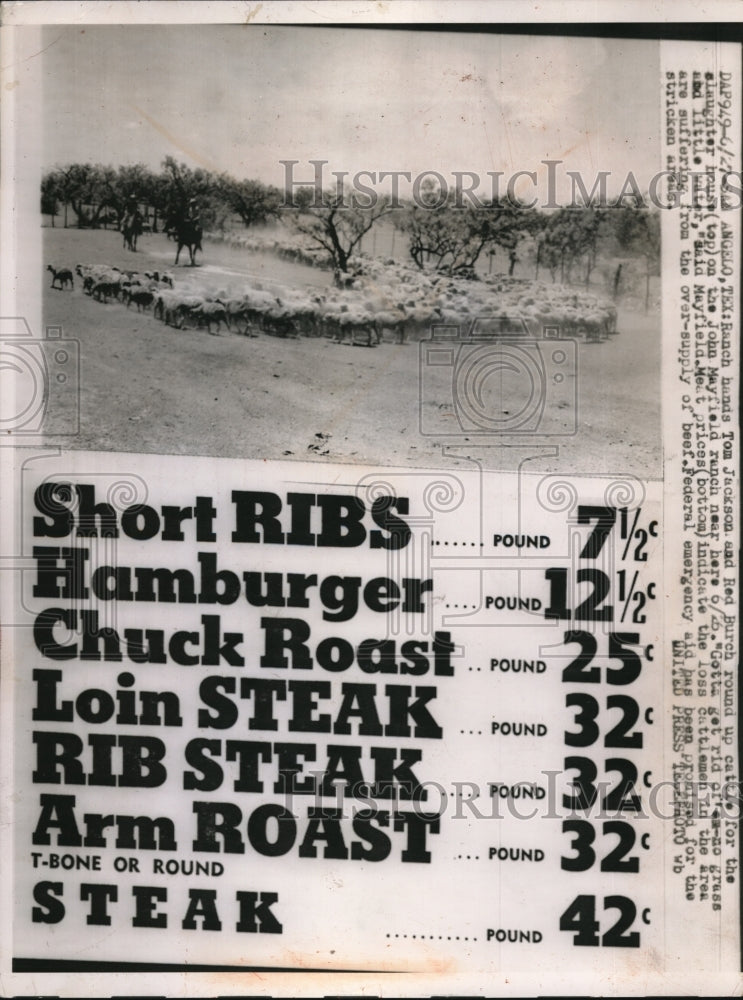 1953 Press Photo San Angelo Texas Tom Jackson, Red Burch round up cattle at Mayfield ranch
