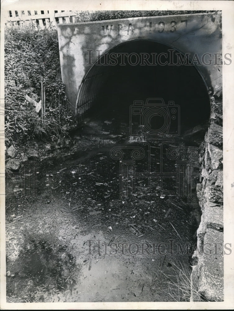 1966 Press Photo Black oil discharges damages boats in Lake Erie- Historic Images