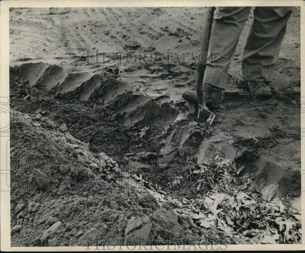 1951 Press Photo A gardening spade is a big help in cultivating the soil