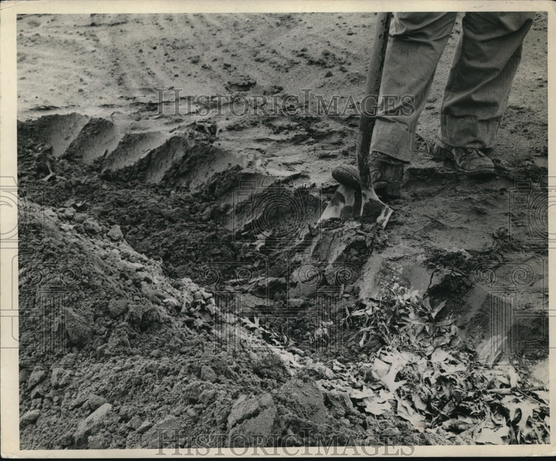 Load image into Gallery viewer, 1951 Press Photo A gardening spade is a big help in cultivating the soil
