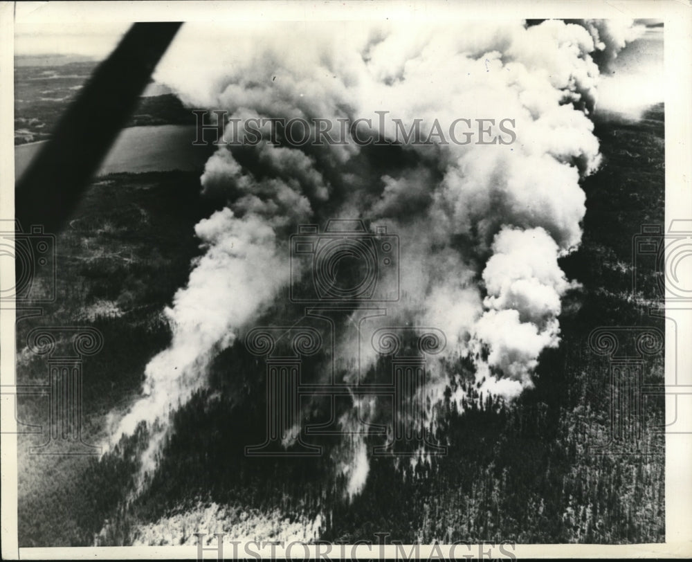 1946 Press Photo A huge forest fire