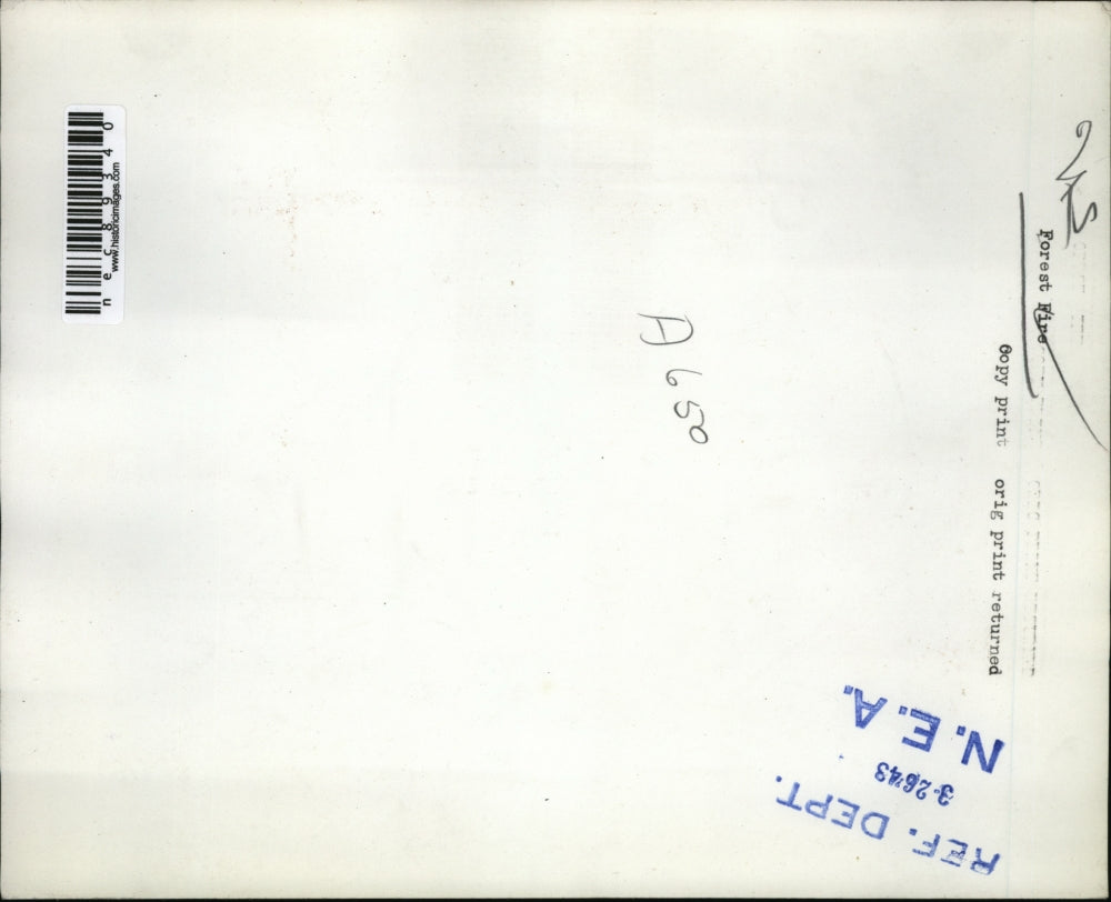 1946 Press Photo A huge forest fire