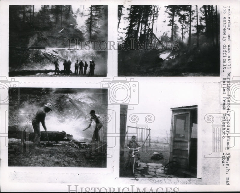 Load image into Gallery viewer, Press Photo A huge forest fire for two days and still difficult to stop
