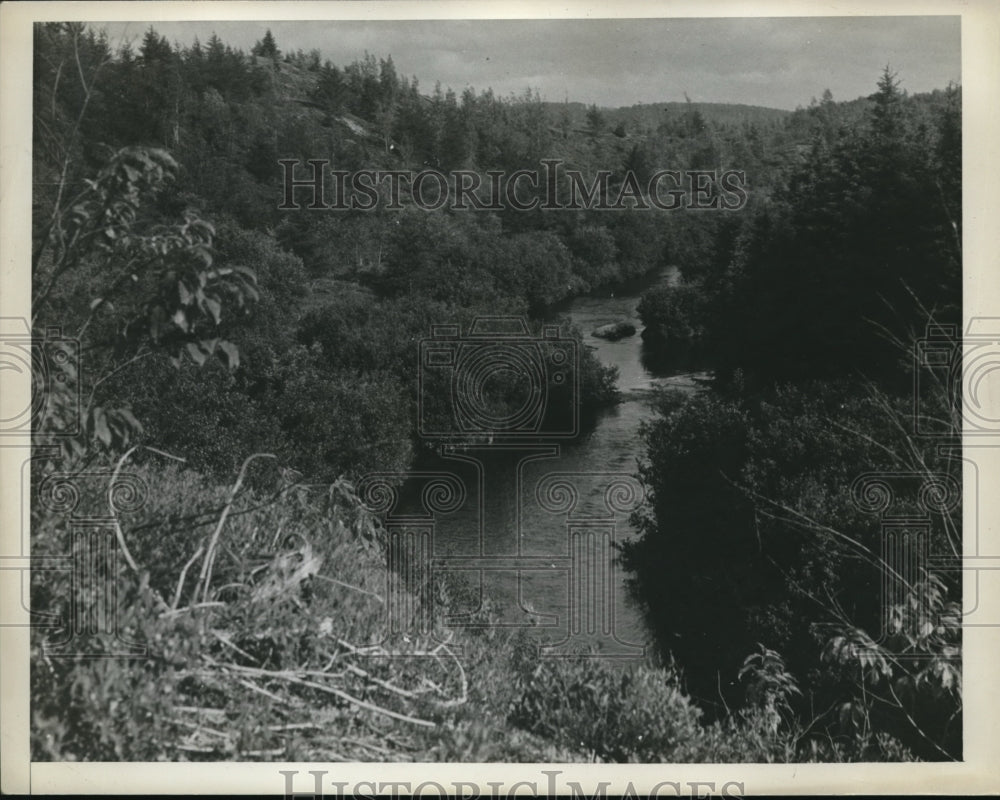 1938 Press Photo Middle River Laurenrides Park