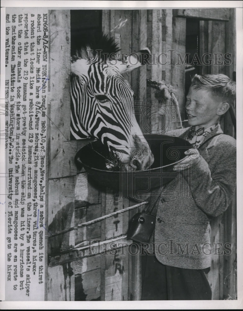 Load image into Gallery viewer, 1953 Press Photo John Douglas on zebra quench its thirst aboard the liner Media
