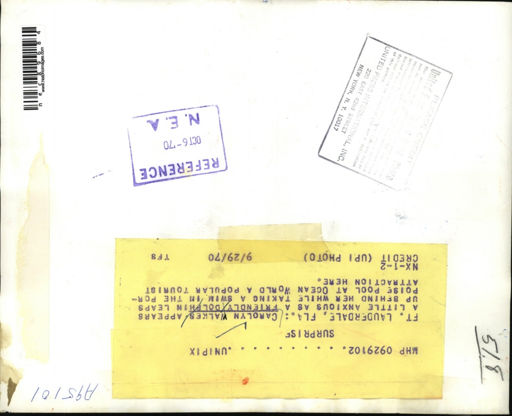 1970 Press Photo Carolyn Walker and a dolphin in Porpoise Pool at Ocean World