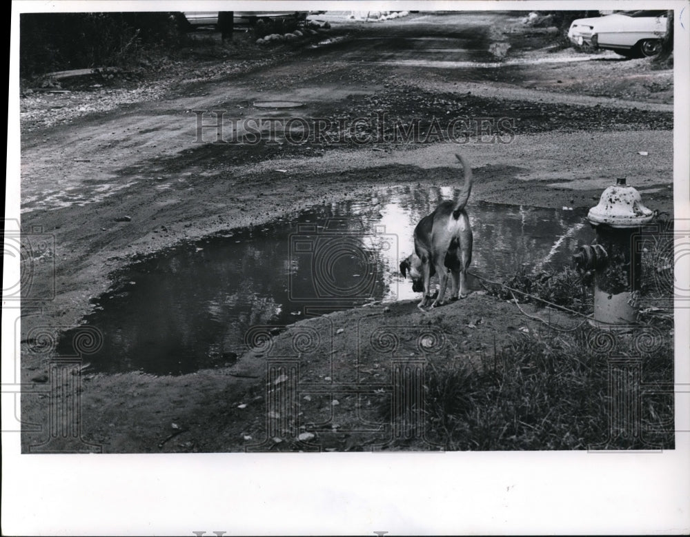 1967 Press Photo Water backs up in Cleveland after rains. needs street repairs