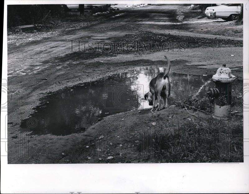 Load image into Gallery viewer, 1967 Press Photo Water backs up in Cleveland after rains. needs street repairs
