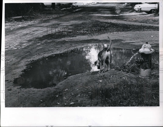1967 Press Photo Water backs up in Cleveland after rains. needs street repairs