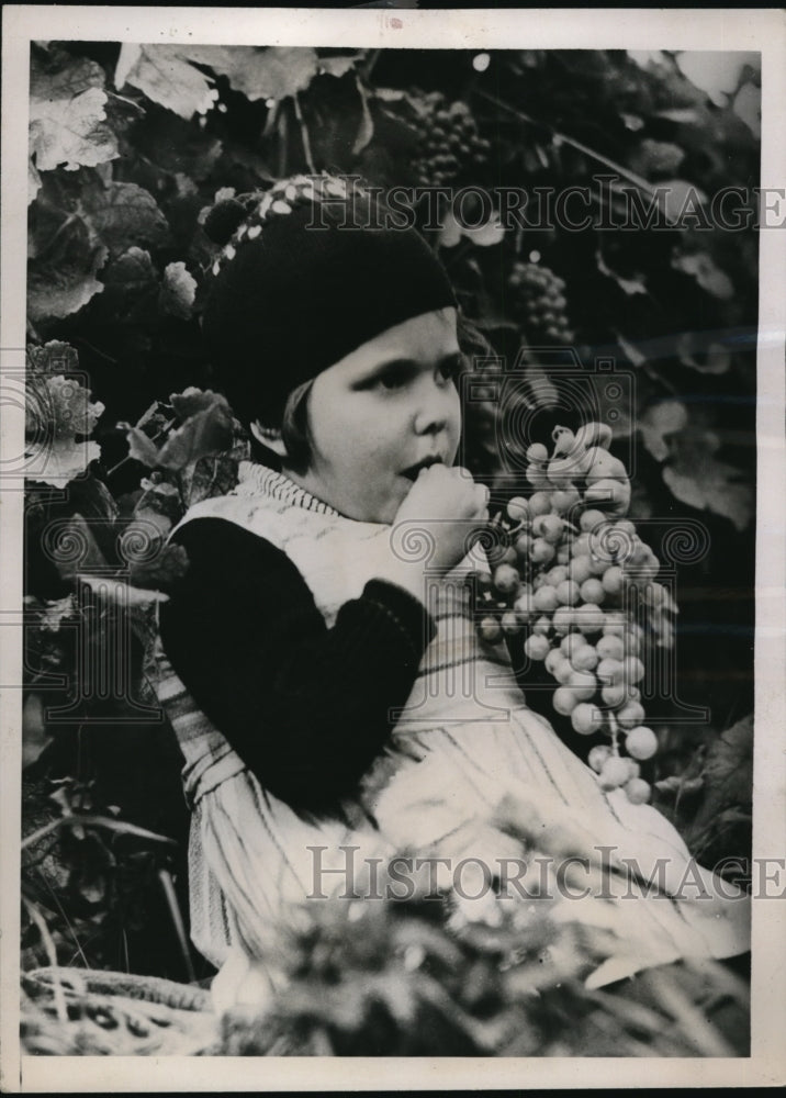 1935 Press Photo Child in German Vinyards at Weinberg Eating Grapes- Historic Images