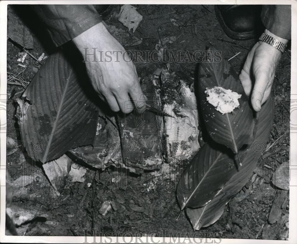 1956 Press Photo Fish Baked in Mud and Banana Leaves- Historic Images