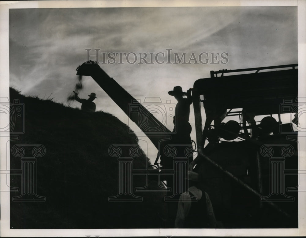 1939 Press Photo Illinois Wheat Farm Harvest Threshing