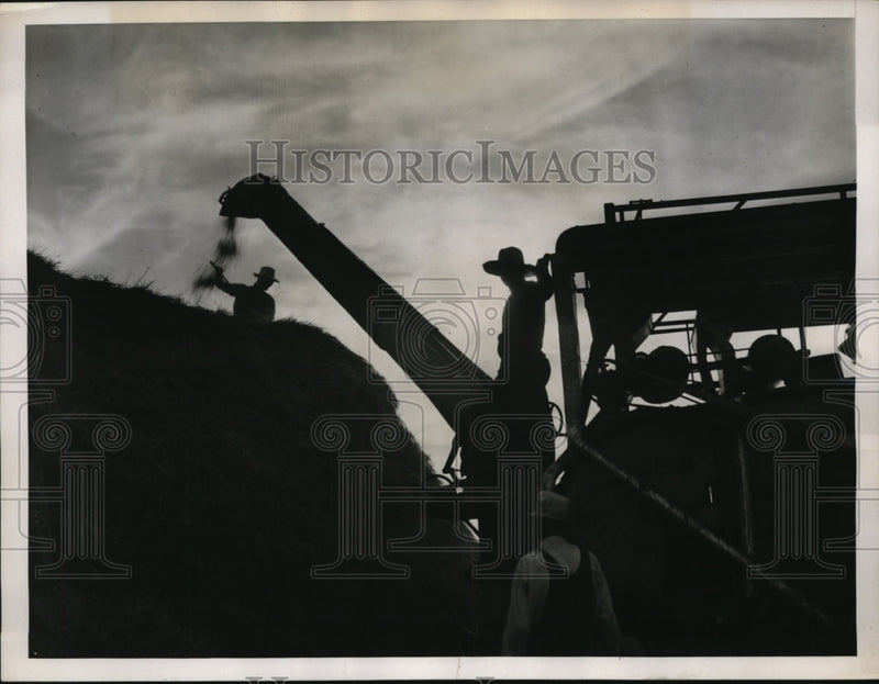 Load image into Gallery viewer, 1939 Press Photo Illinois Wheat Farm Harvest Threshing

