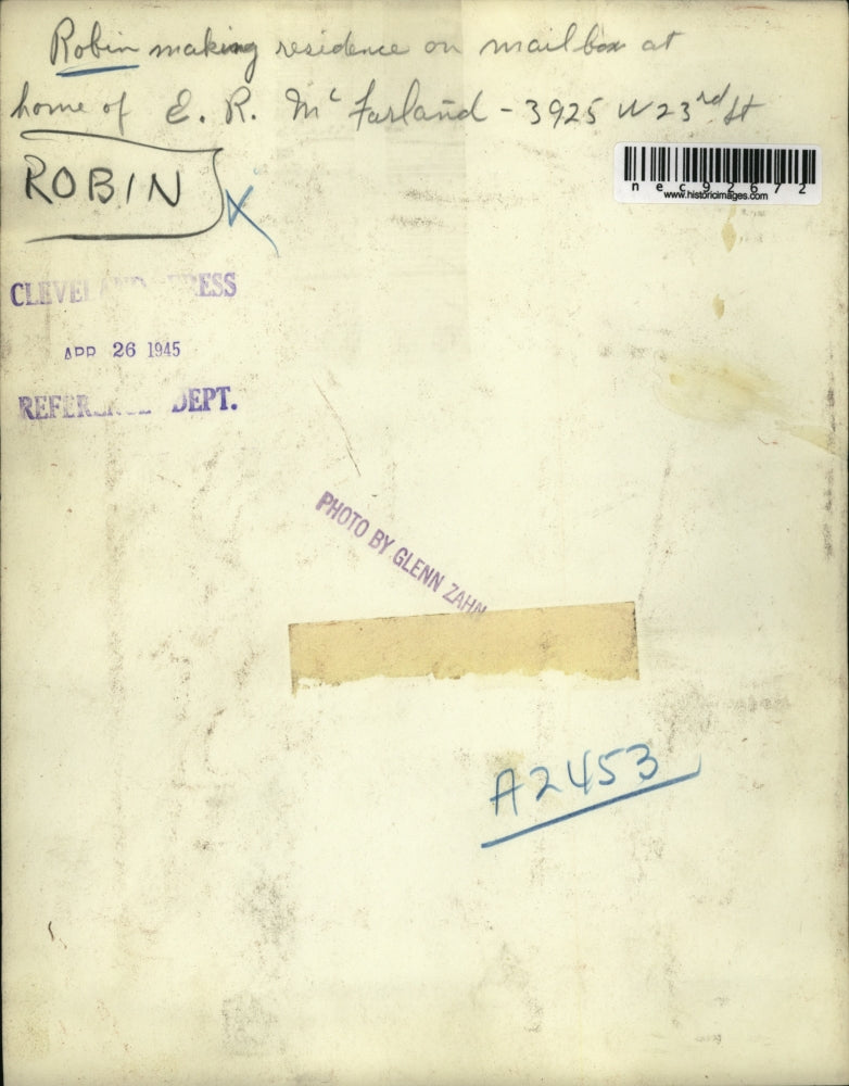 1945 Press Photo Robin making residence on mailbox at ER Farland's home