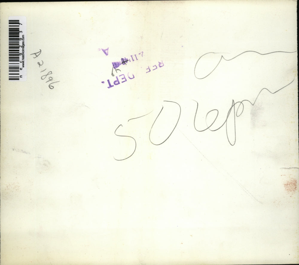 1949 Press Photo Alliance Nebraska hogs frozen to death in snow blizzard