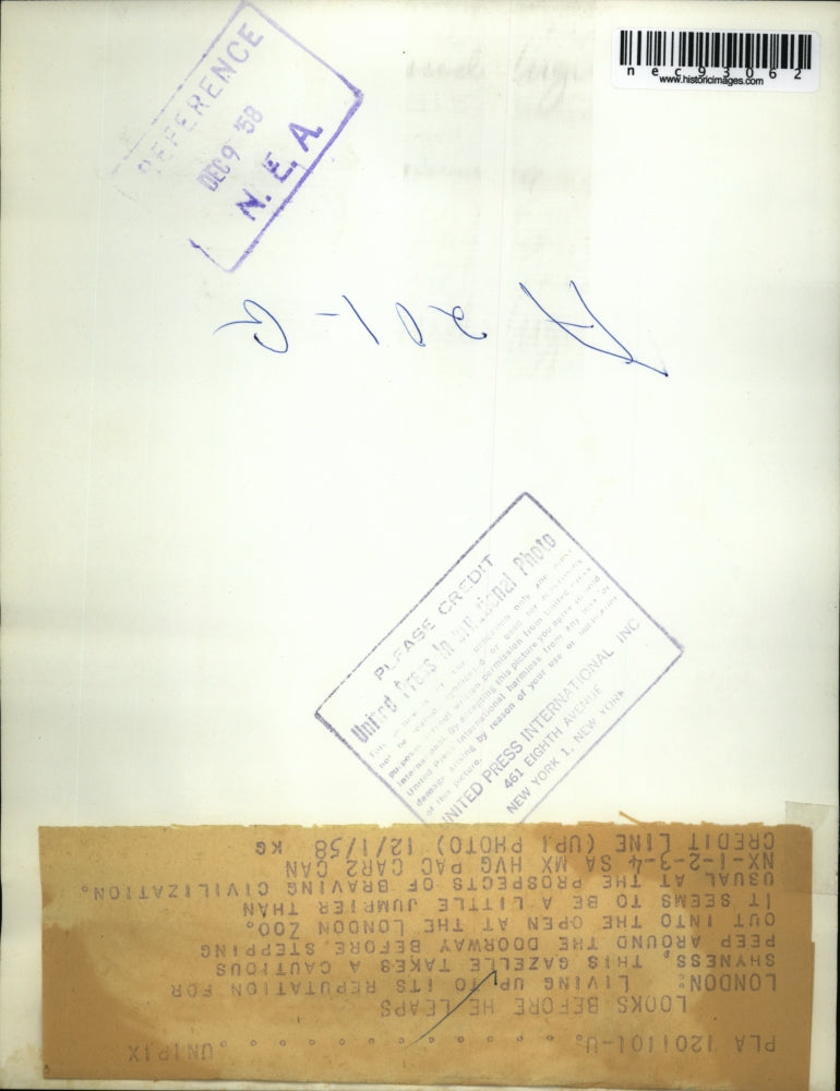 1958 Press Photo Gazelle Peaks at the London Zoo