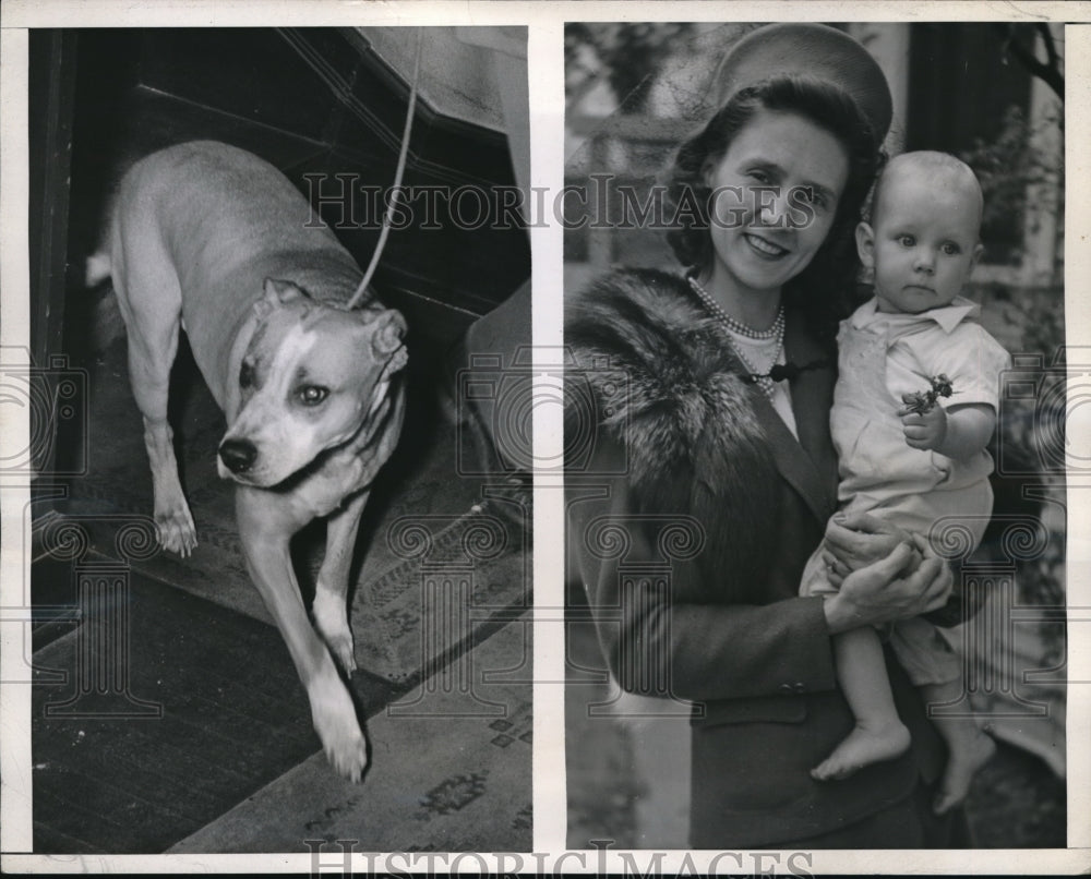 1945 Press Photo LA Calif Mrs Drussilla Derdenger & baby & dog that killed her