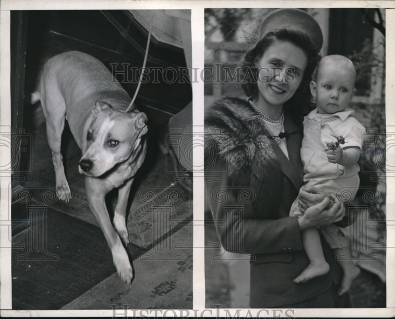 Load image into Gallery viewer, 1945 Press Photo LA Calif Mrs Drussilla Derdenger &amp; baby &amp; dog that killed her
