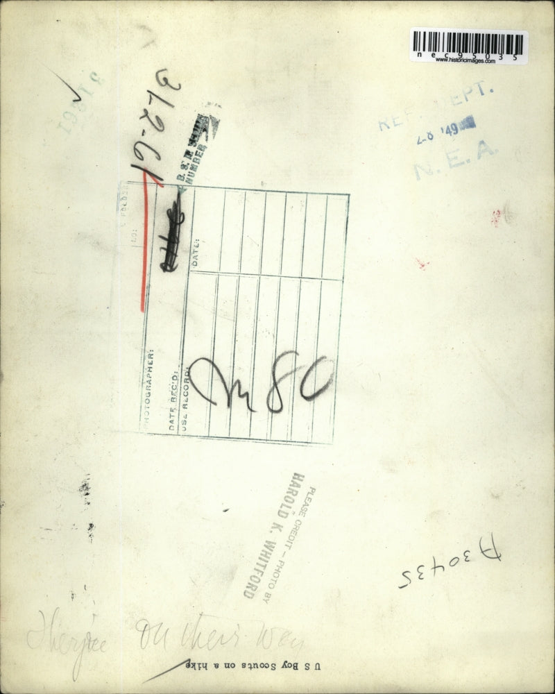 1949 Press Photo U.S. Boyscouts on a hike