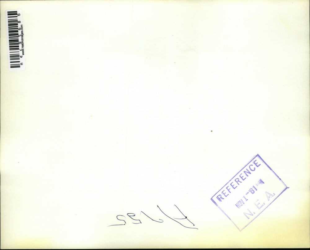 1961 Press Photo Simian Monkey Peers Out of Shipping Crate on TWA Plane