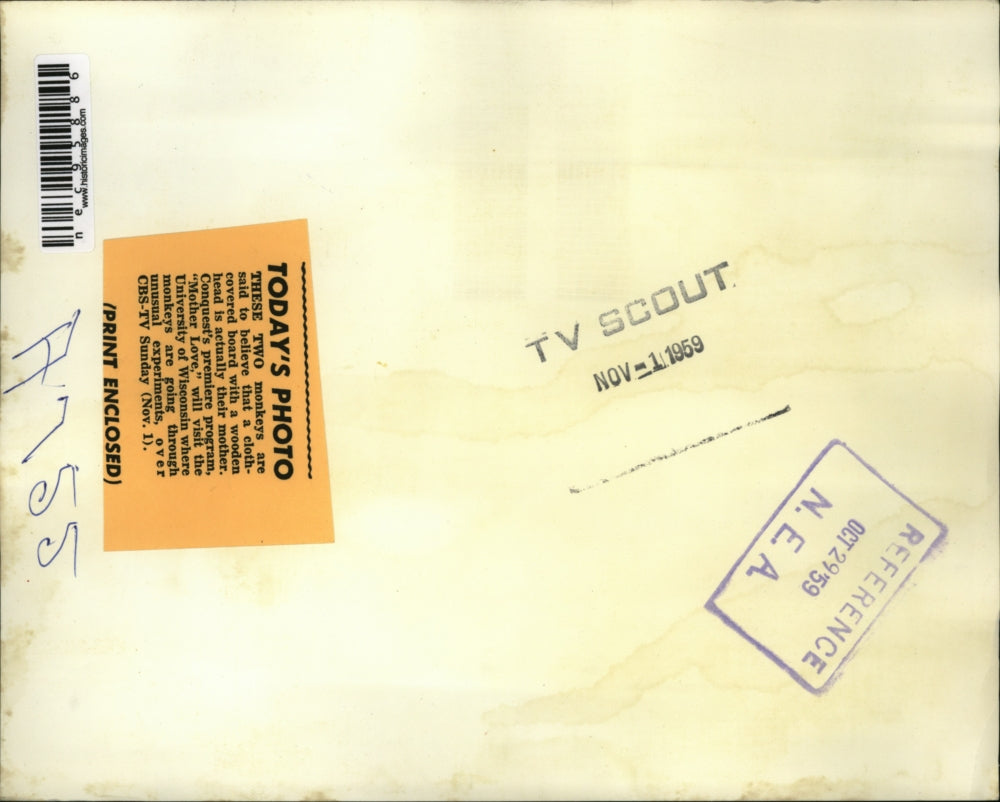 1959 Press Photo Two spider monkeys at Univ of Wisconsin