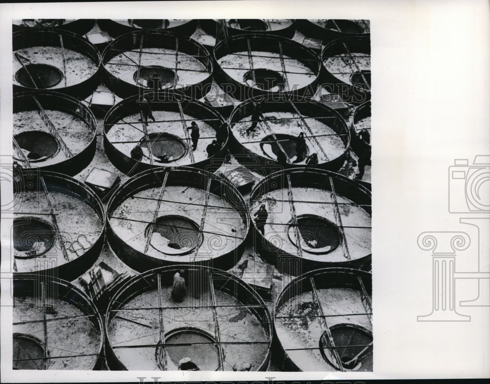 1962 Press Photo Tselinny USSR workmen & ginat grain elevators filled