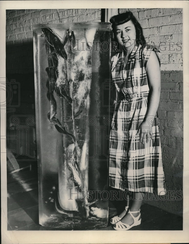 1948 Press Photo Cathy Gregorich with ice frozen around ears of corn.