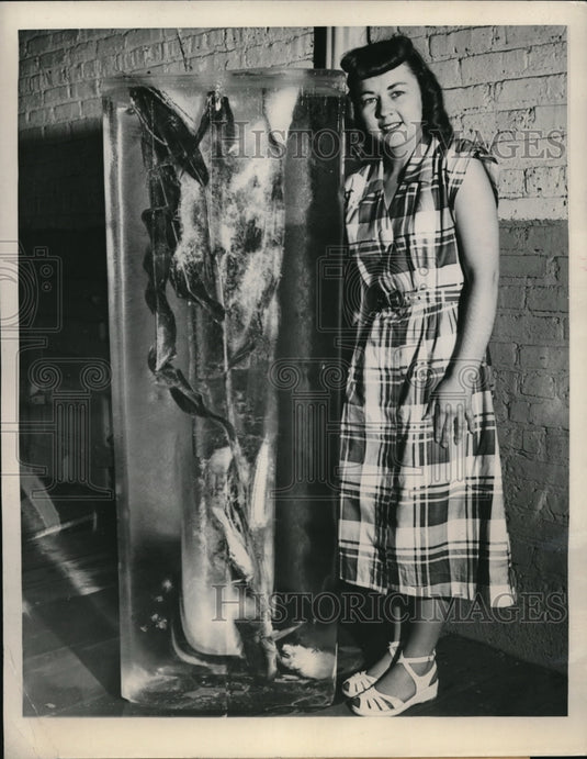 1948 Press Photo Cathy Gregorich with ice frozen around ears of corn.