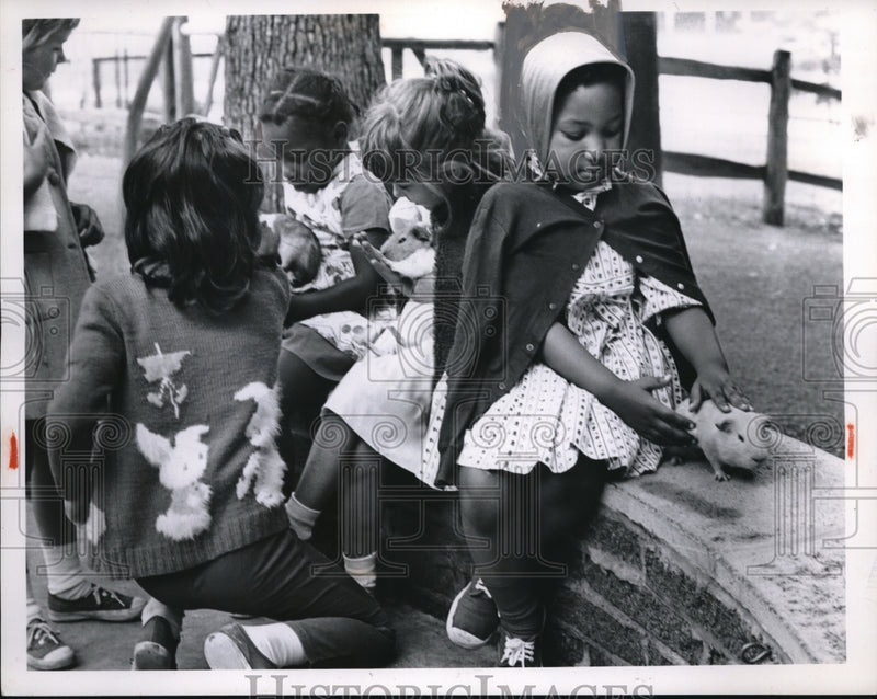 Load image into Gallery viewer, 1964 Press Photo Margaret Show Michele Stazek &amp; Darlene Clipps enjoying animals

