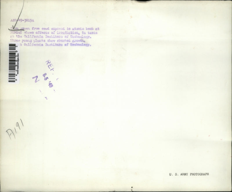Load image into Gallery viewer, 1949 Press Photo Corn seedlings at the California Institute of Technology
