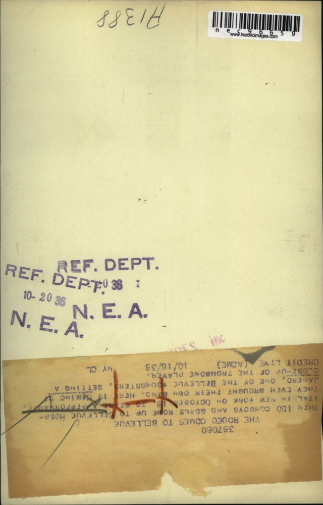 1933 Press Photo Bellevue Hospital kids & Domino Janero in band