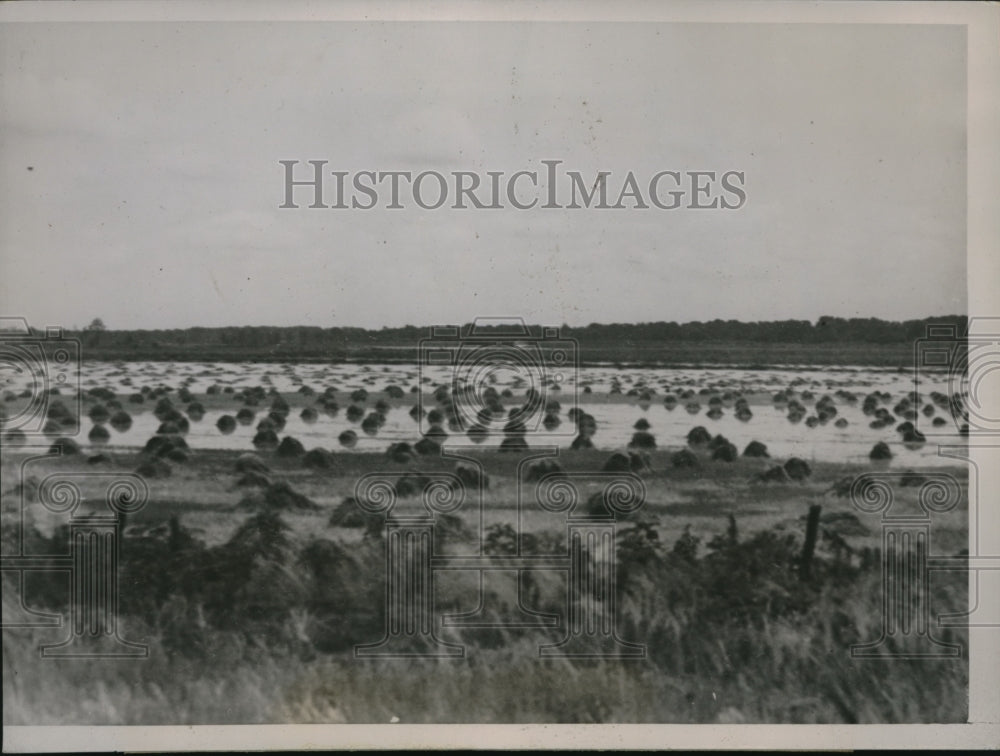 1937 Press Photo Seven Inch Rain Flooding Central Illinois