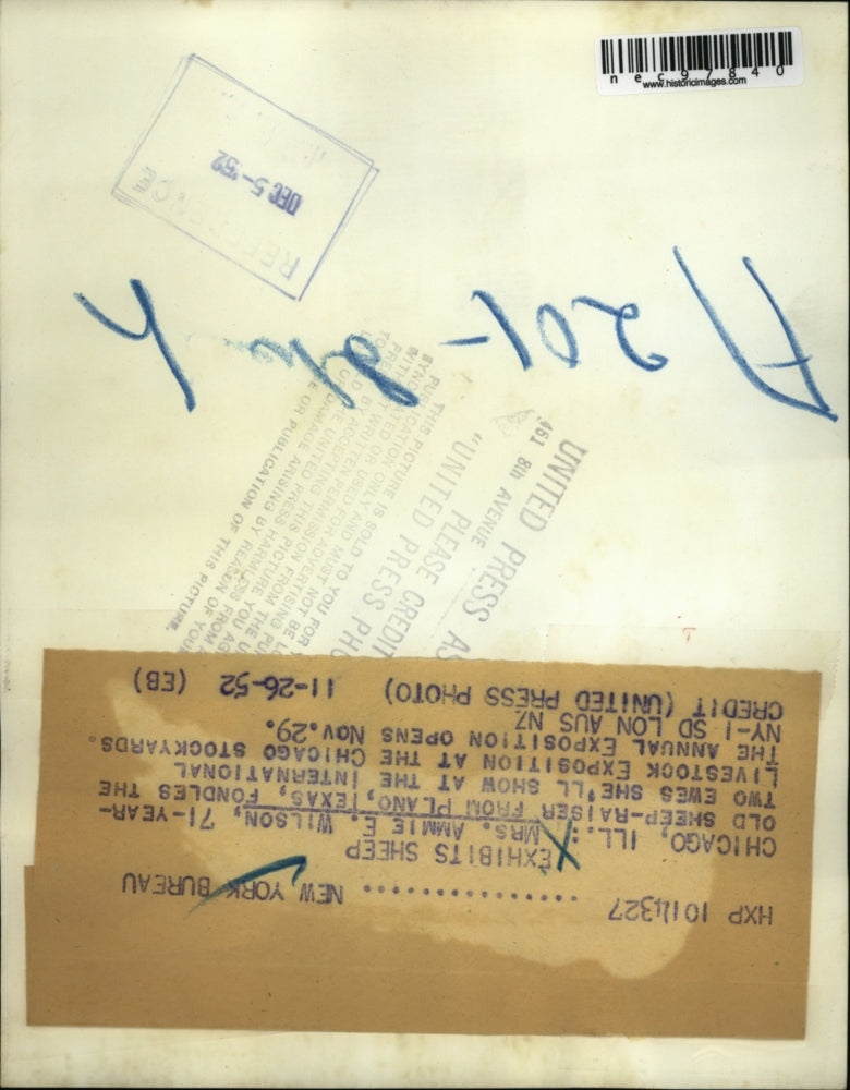 1952 Press Photo Mrs. Ammie Wilson with two ewes at Int'l Livestock Expedition