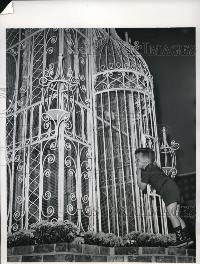 1961 Press Photo Kenneth Wayne Watson plays in a huge bird cage in Dallas