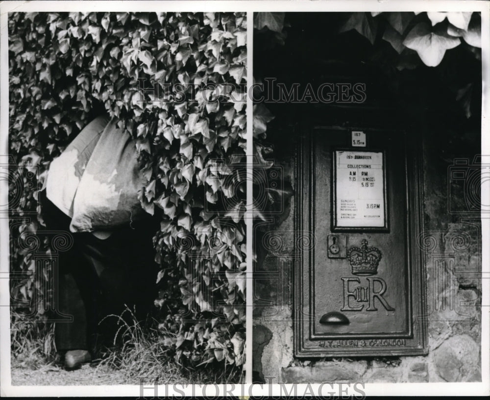 1967 Press Photo Stourton England, Local Mailman goes Through Ivy for Mailbox- Historic Images