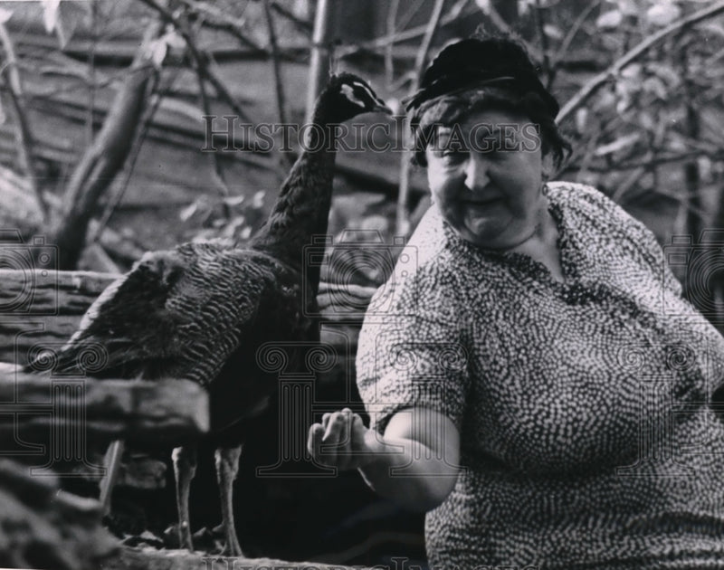 Load image into Gallery viewer, 1962 Press Photo Mrs. Dorothy Wagner at Lincoln Park Zoo in Chicago - nec98042
