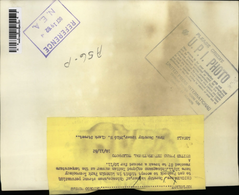 1962 Press Photo Mrs. Dorothy Wagner at Lincoln Park Zoo in Chicago - nec98042